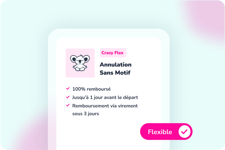 Contenu Assurance Annulation